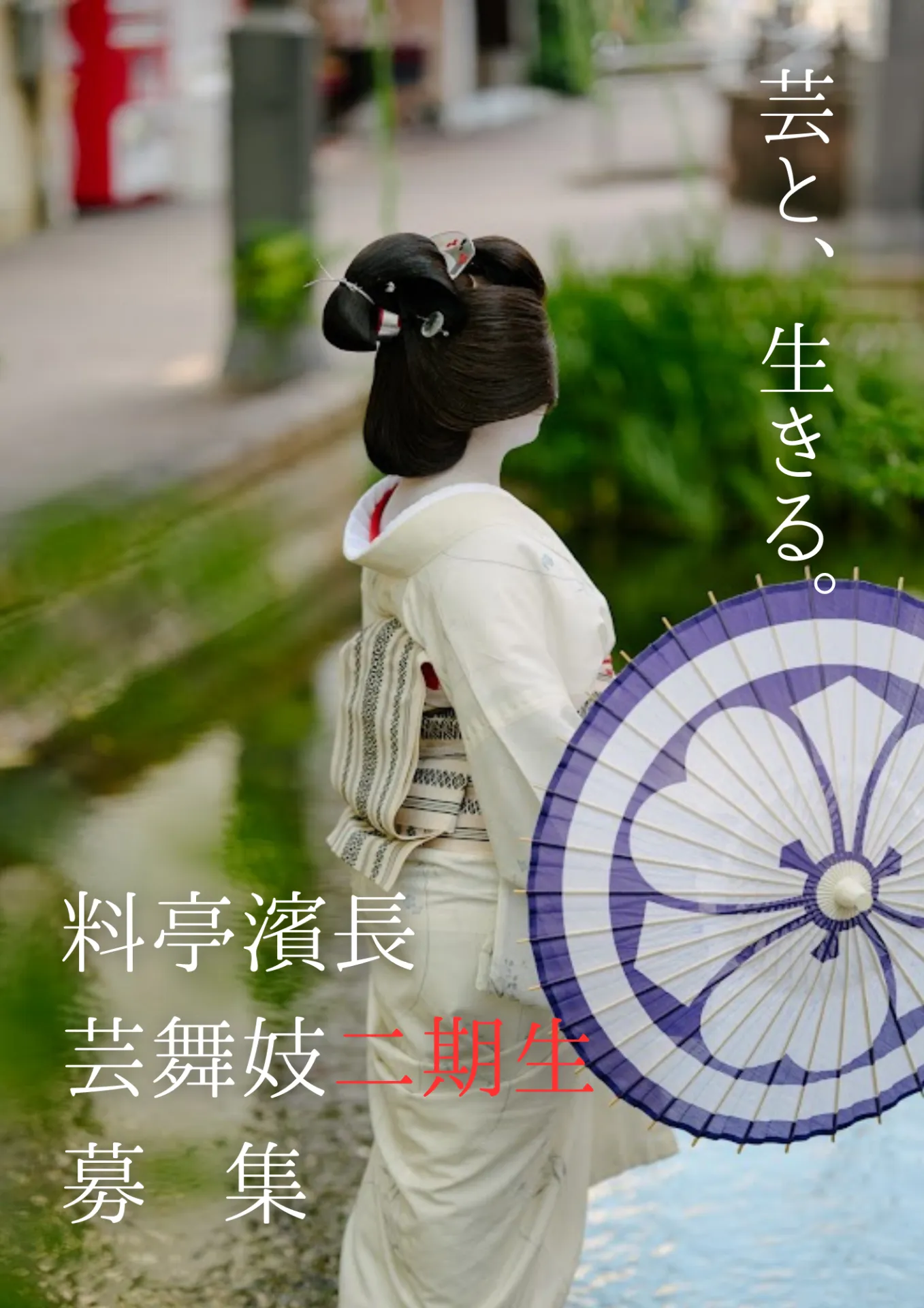 土佐芸舞妓二期生募集